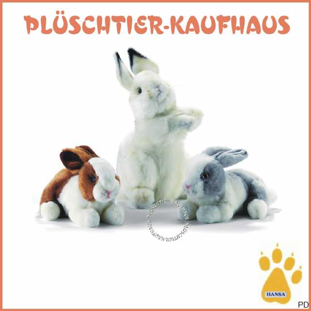 Bild anklicken vergr&ouml;&szlig;ert