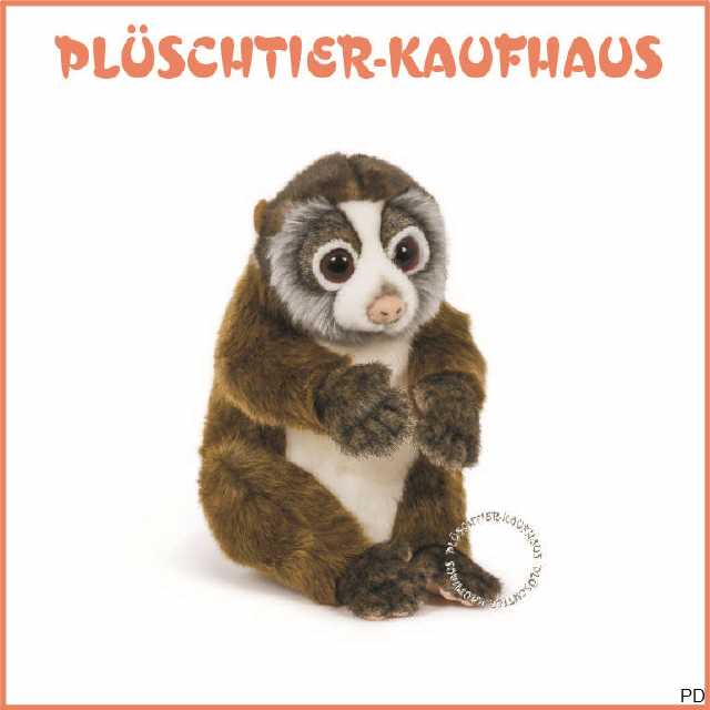 Bild anklicken vergr&ouml;&szlig;ert
